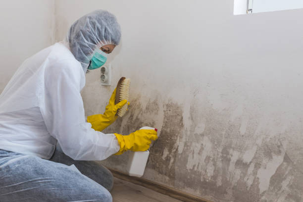 Asbestos and Lead Testing During Mold Inspection in Newcomerstown, OH